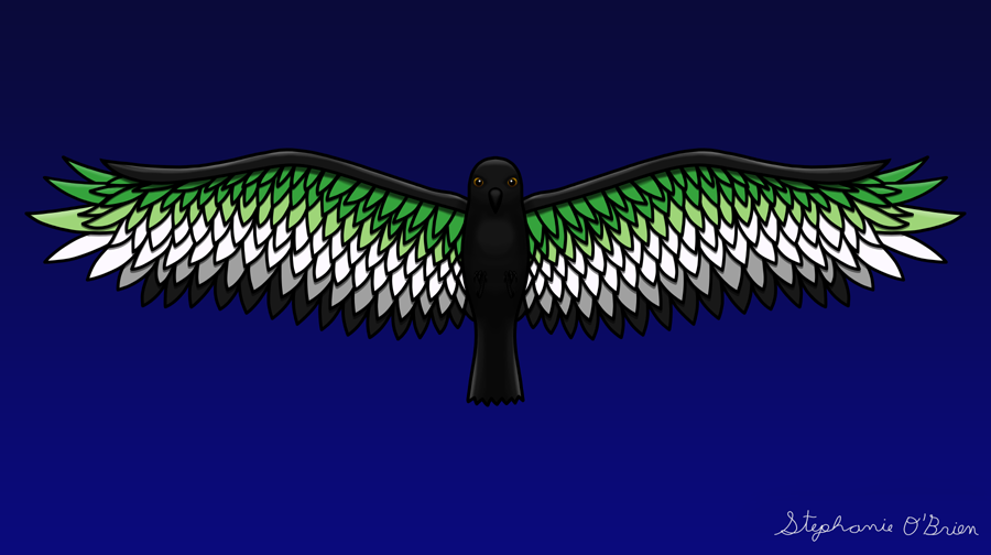 A raven whose wings show the colors of the aromantic pride flag.