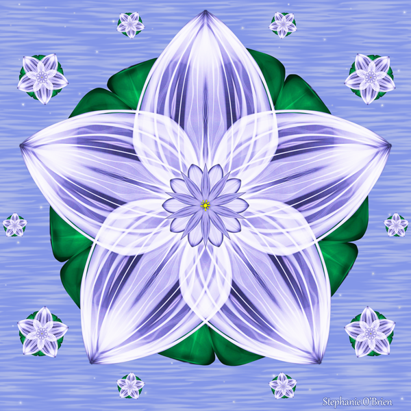 A frosty white and purple flower, floating on a lily pad in a rippling pool, while smaller flowers float around it.