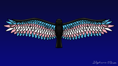 Fly With Pride, Raven Series - Transgender