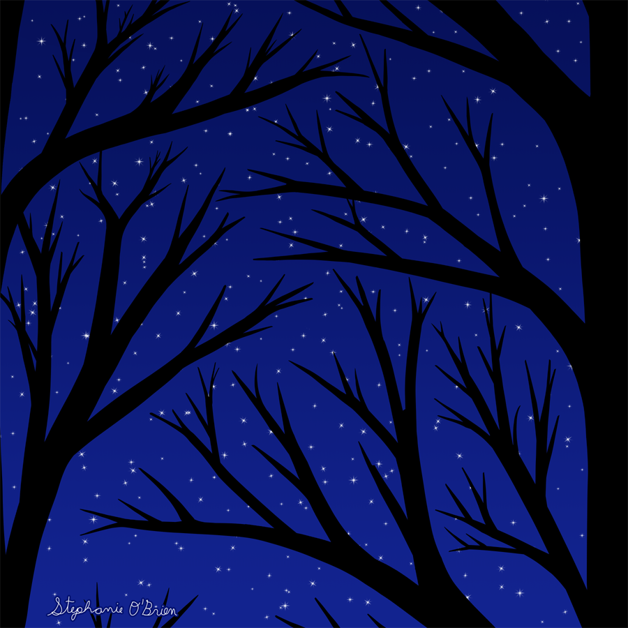 A stark, jagged forest of barren trees, silhouetted against a clear night sky.