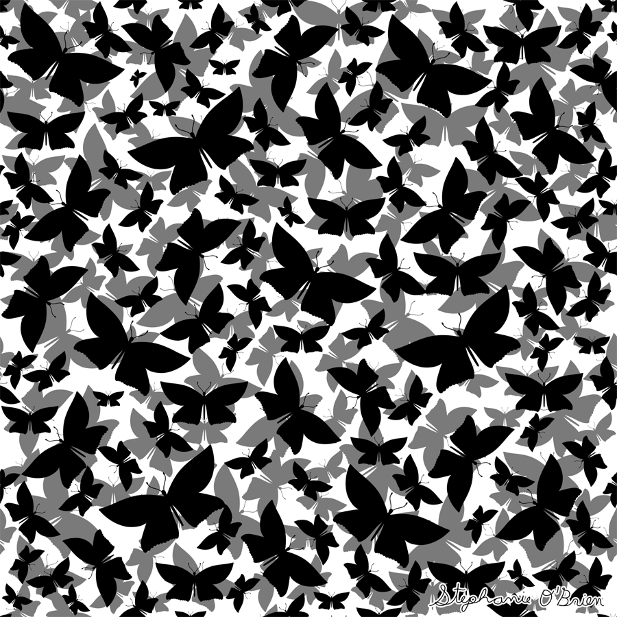 A cloud of butterflies in shades of black, white and grey.