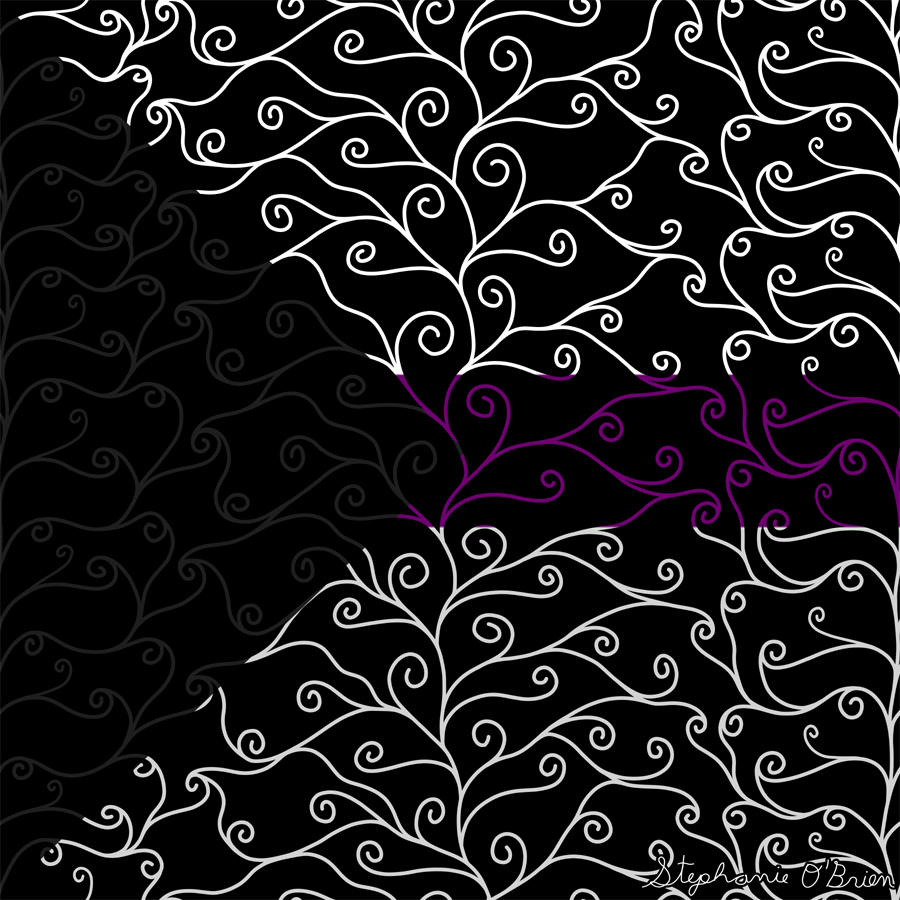 A complex weave of spirals in the colors of the demisexual flag, on a black background.